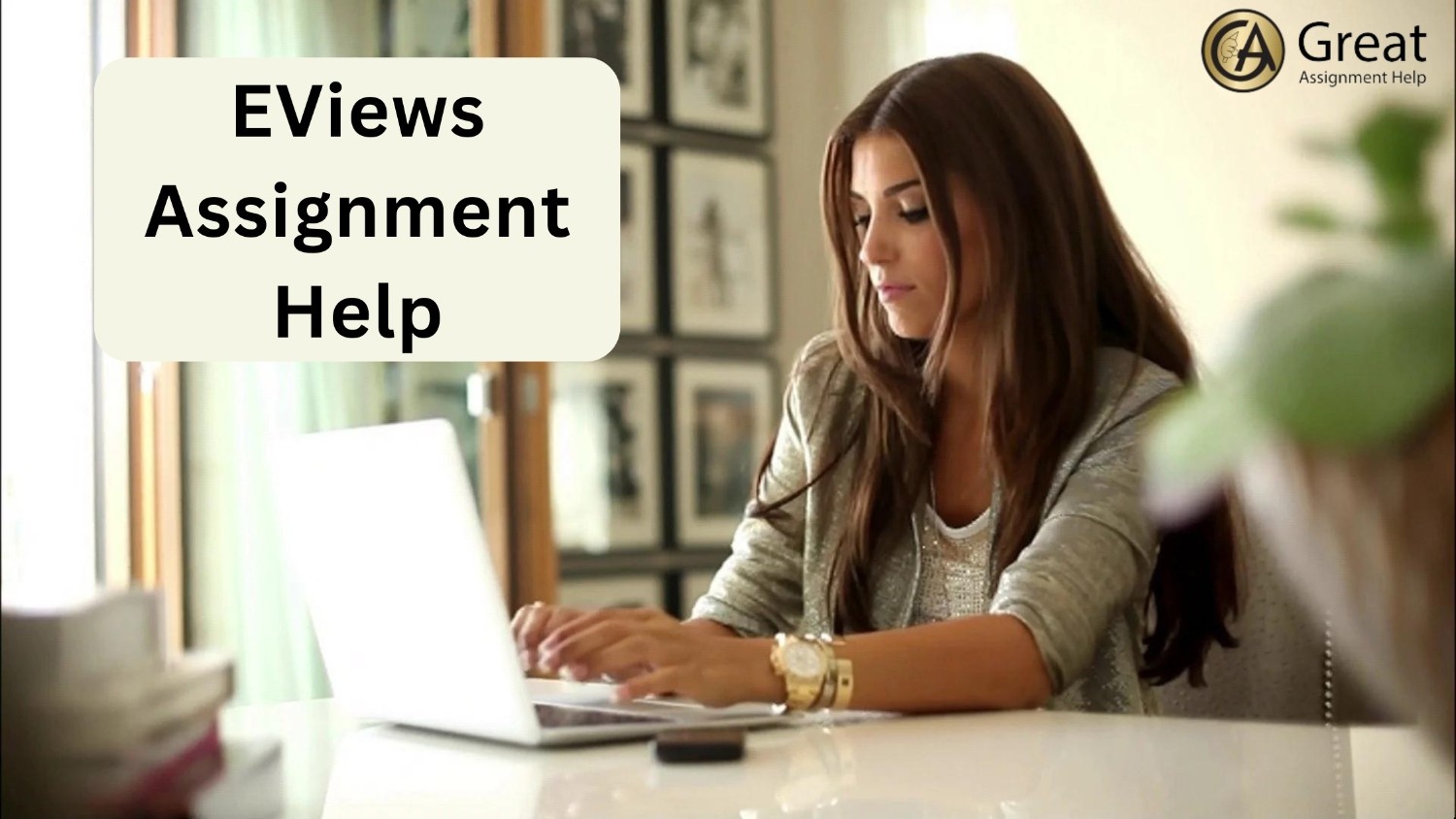 EViews assignment help