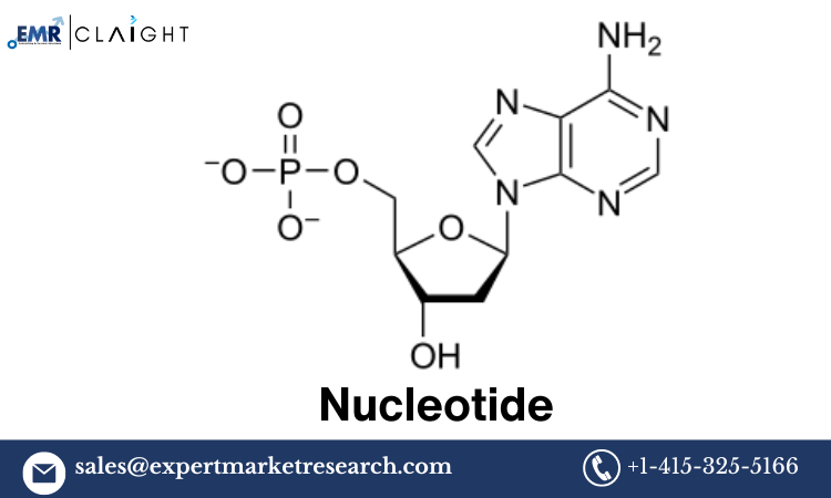 Nucleotide Price Trend Report: A Comprehensive Overview