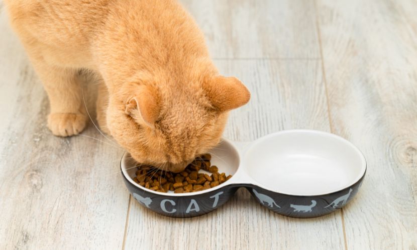 Asia Pacific Cat Food Market Size, Share & Trends Analysis 2032