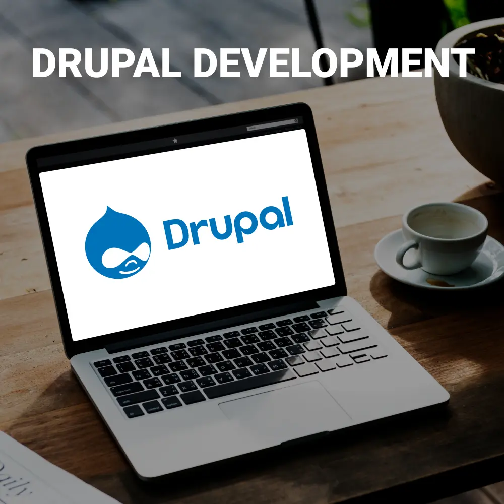 hire drupal developers