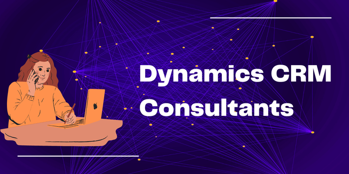 Dynamics CRM Consultants