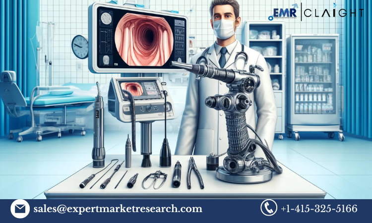 ENT Scopes Market: Growth and Emerging Innovations (2024-2032)