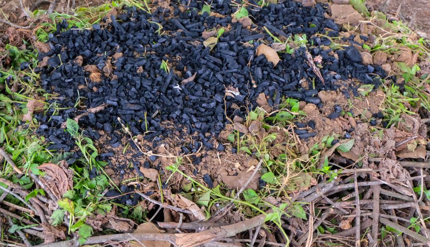 Latin America Biochar Market