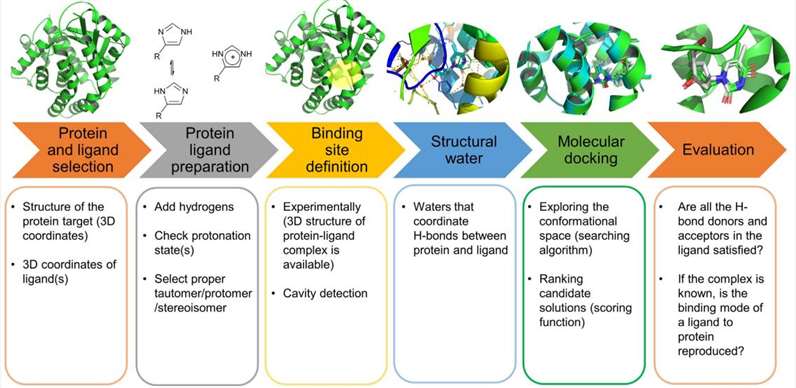 Molecular Docking An Overview