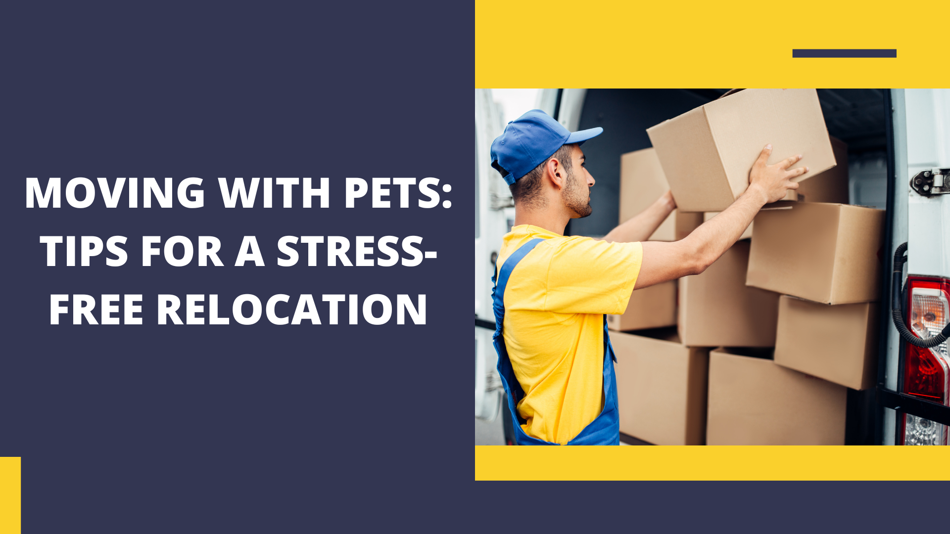 Moving with Pets: Tips for a Stress-Free Relocation