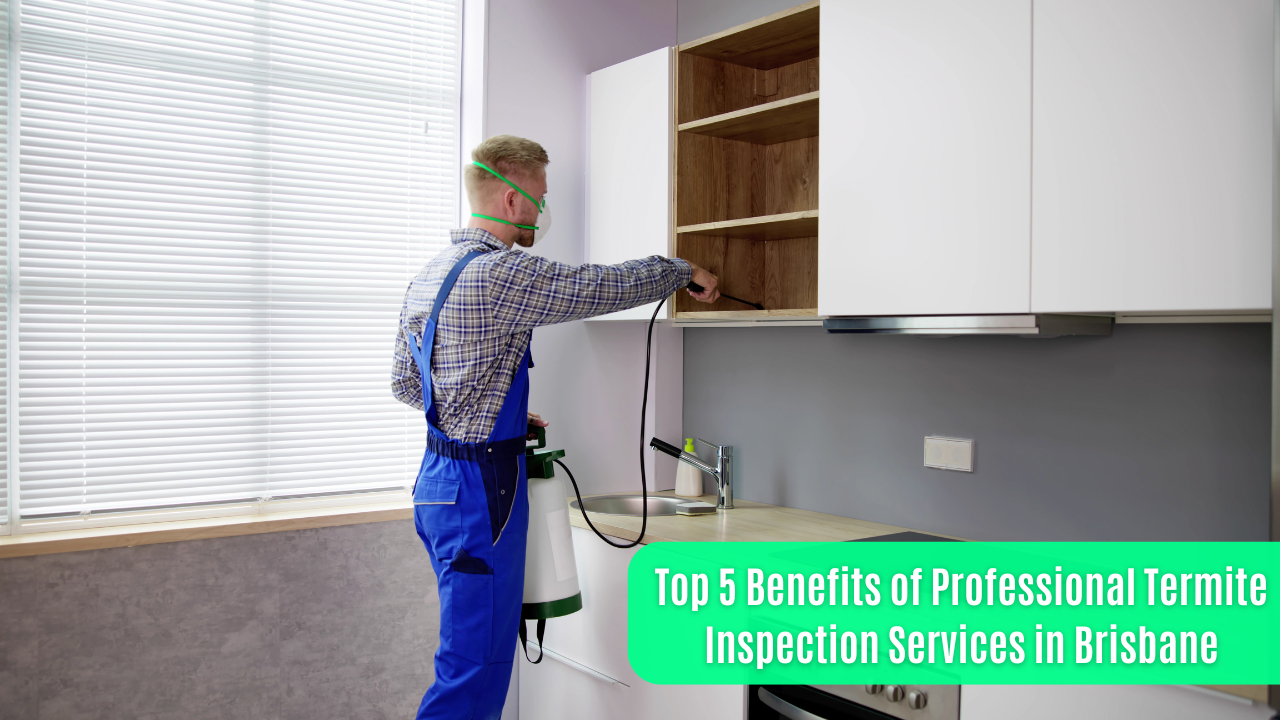 Top 5 Benefits of Professional Termite Inspection Services in Brisbane