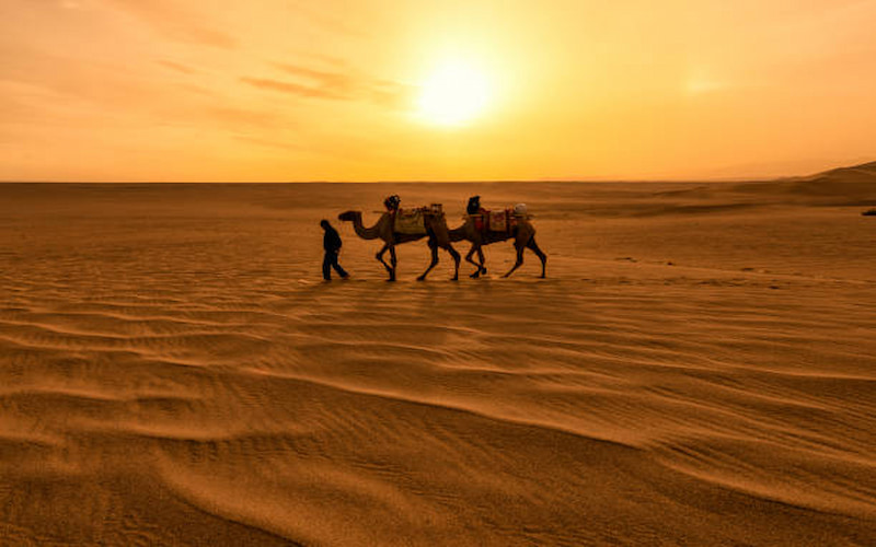 Safari in Dubai