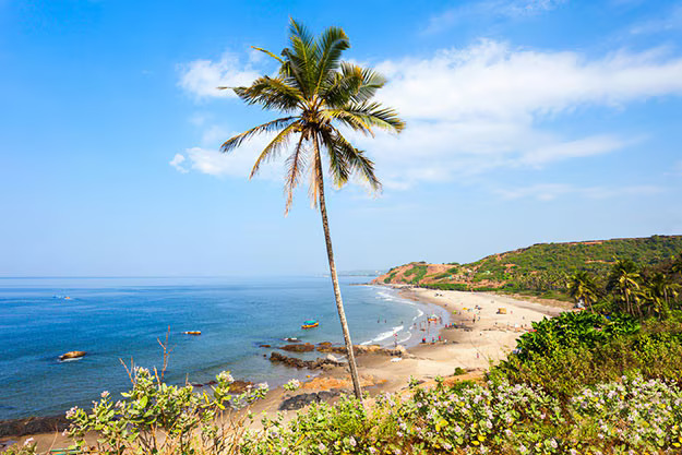 Which Beach Is Good For Honeymoon Couples In North Goa