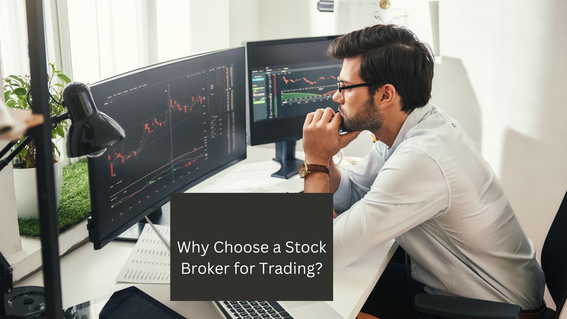 Why Choose a Stock Broker for Trading