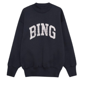 Anine Bing sweatshirt