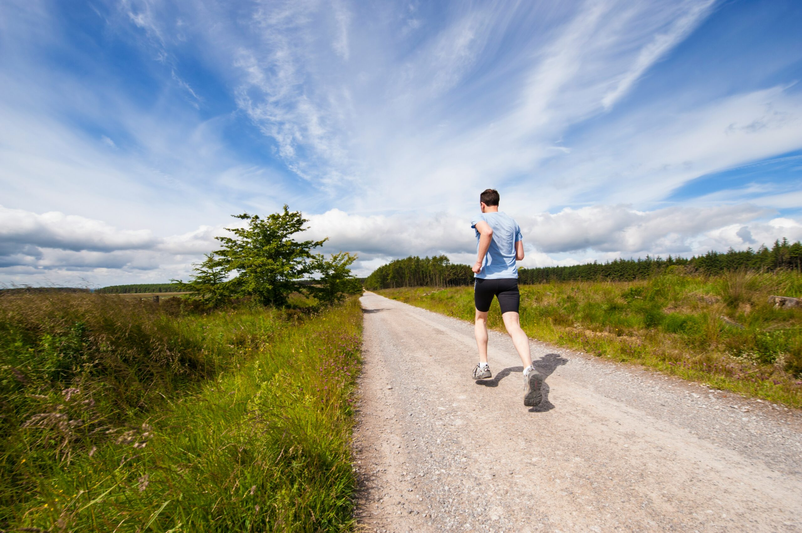 Maximize Your Cardio with Treadmill Workouts: The Ultimate Guide to Gym Fitness