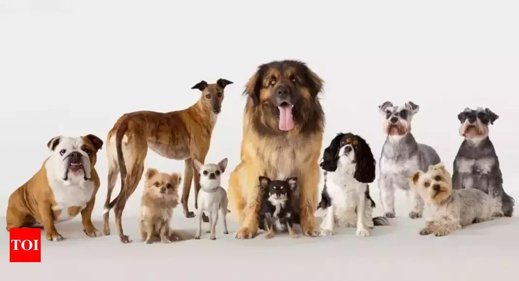 The Complete List of Dog Breeds