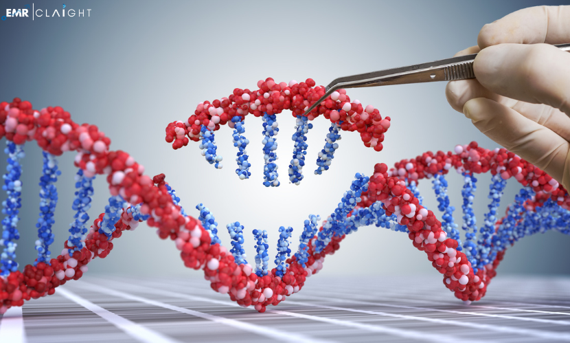 Global Next Generation Sequencing Market