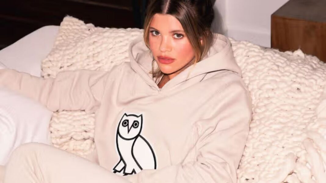 Why OVO Hoodie Leads Street Fashion