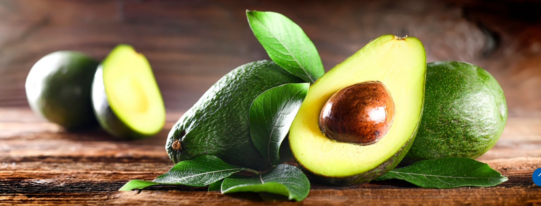 The Ultimate Guide to Growing Avocado From Farm to Table