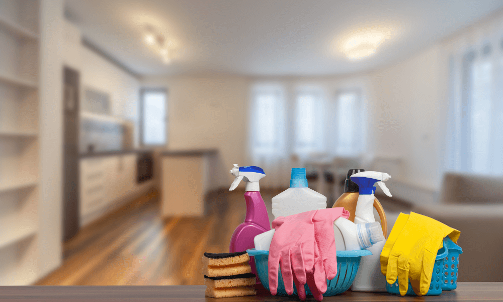 easy life house cleaning