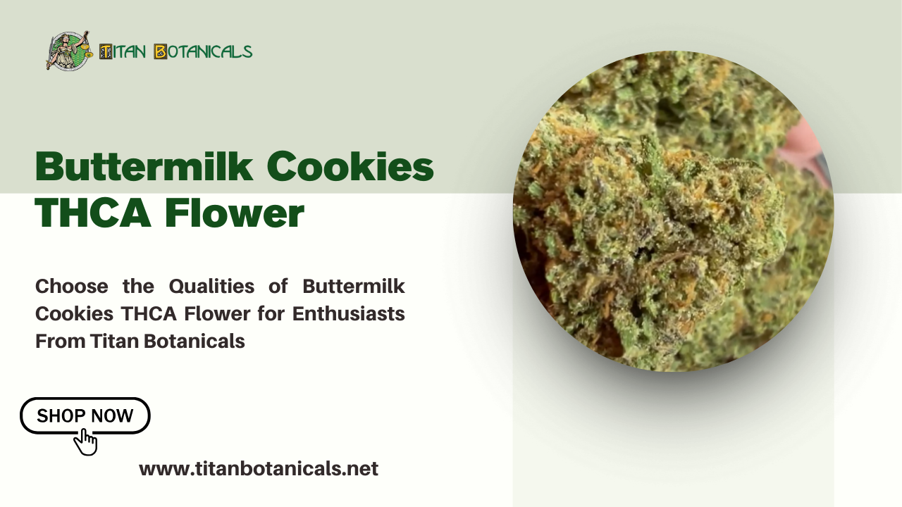 Choose the Qualities of Buttermilk Cookies THCA Flower for Enthusiasts From Titan Botanicals