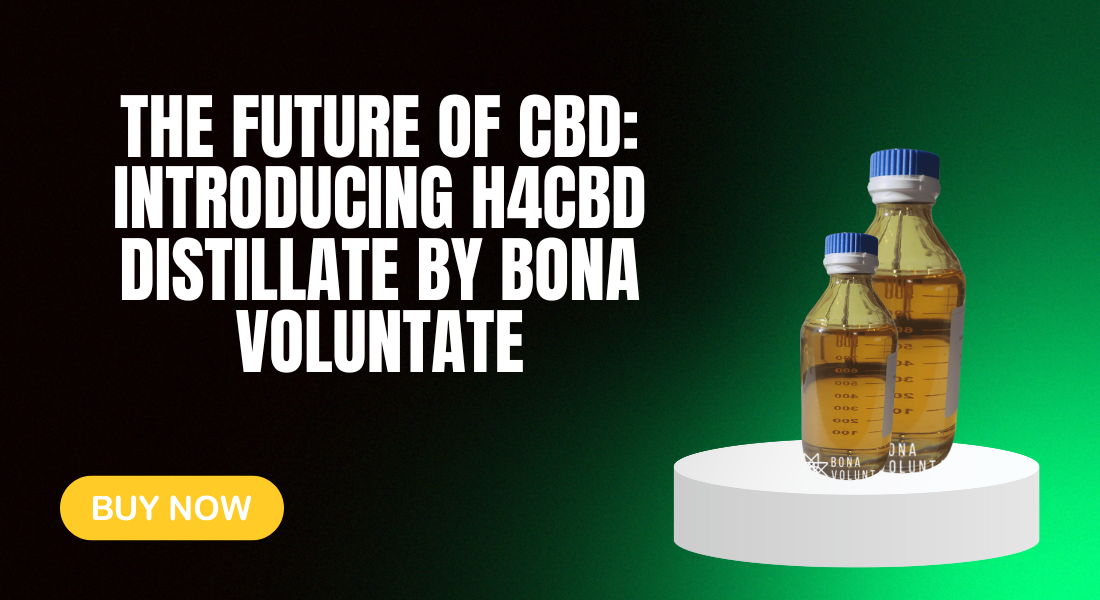 H4CBD Distillate