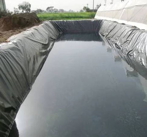 Pond Lining Sheet