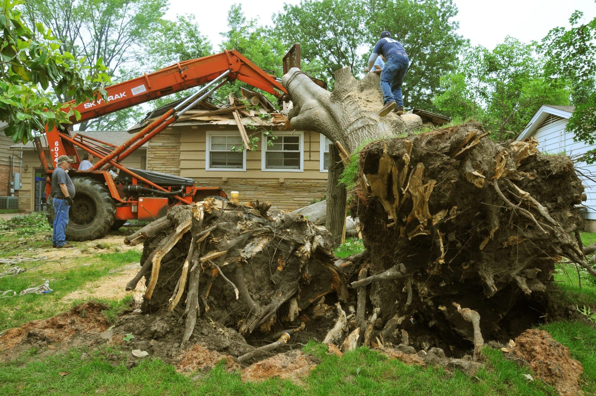 affordable tree service houston