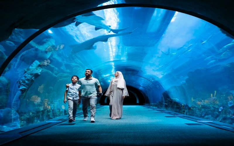 Top Reasons to Visit Dubai Mall Aquarium and Underwater Zoo