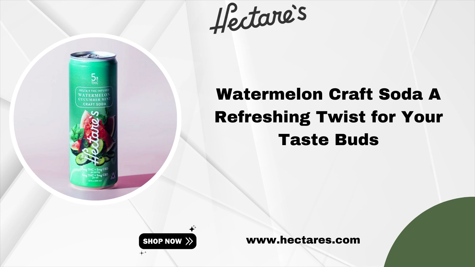 Watermelon Craft Soda A Refreshing Twist for Your Taste Buds