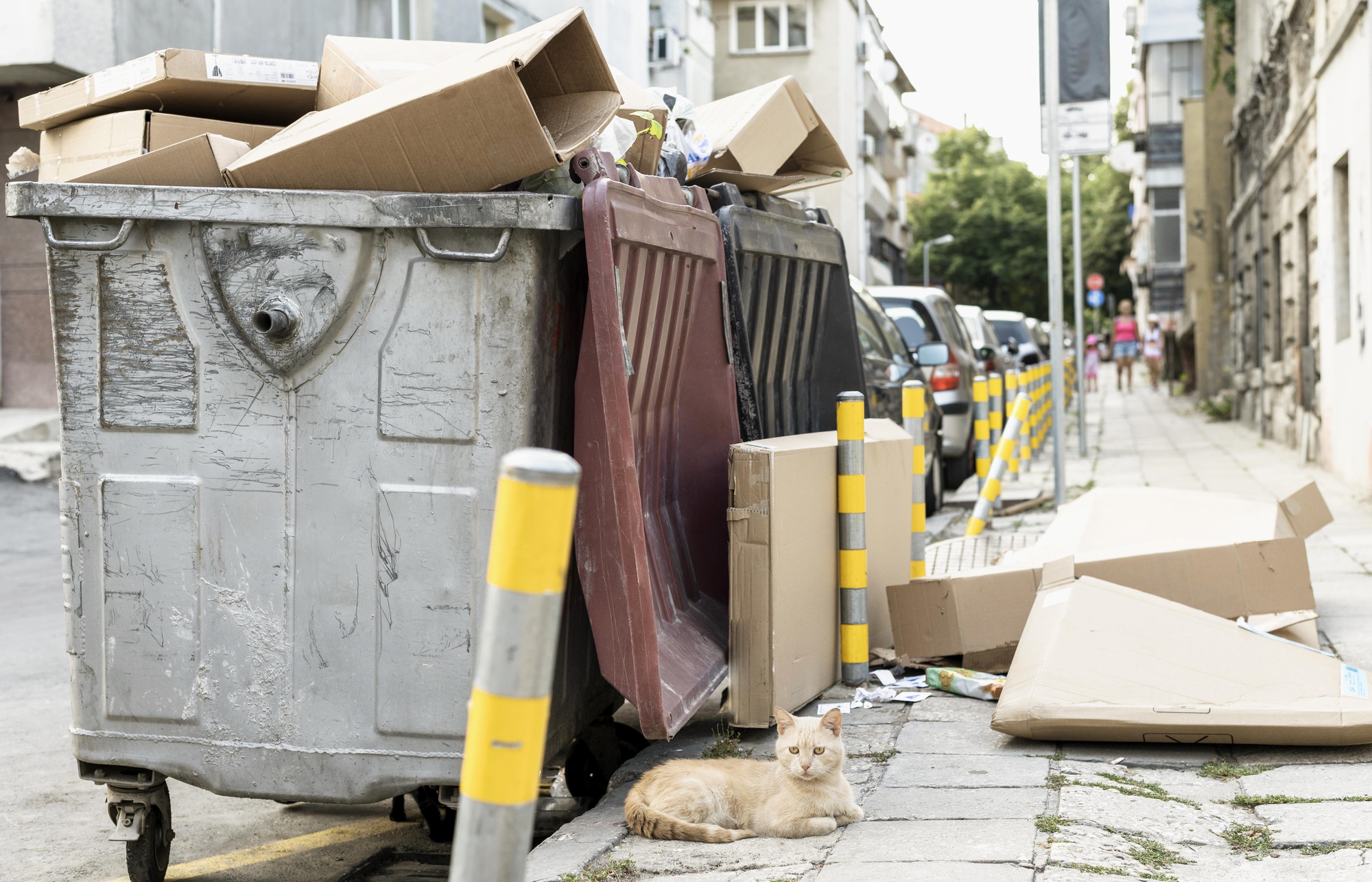 Portland Junk Removal