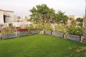 rooftop garden pakistan