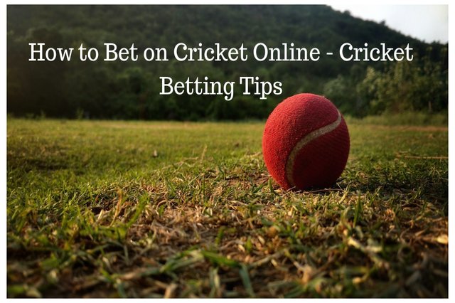 Cricket betting tips