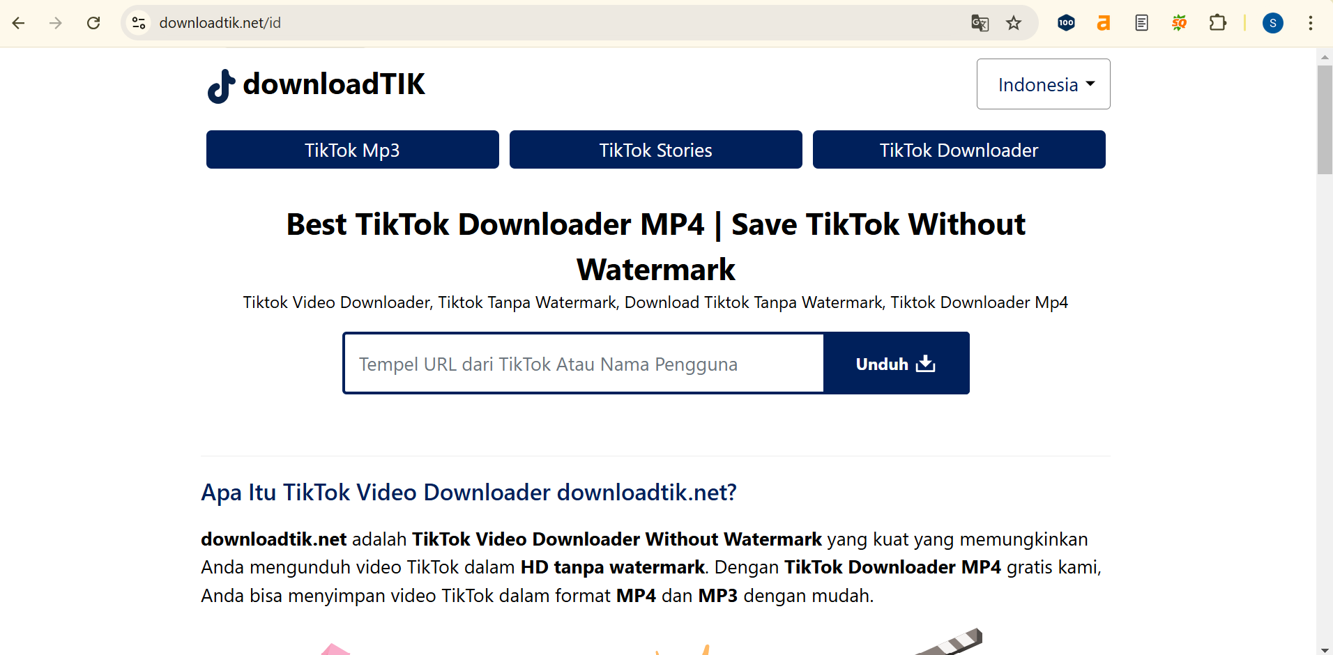 Tiktok Downloader